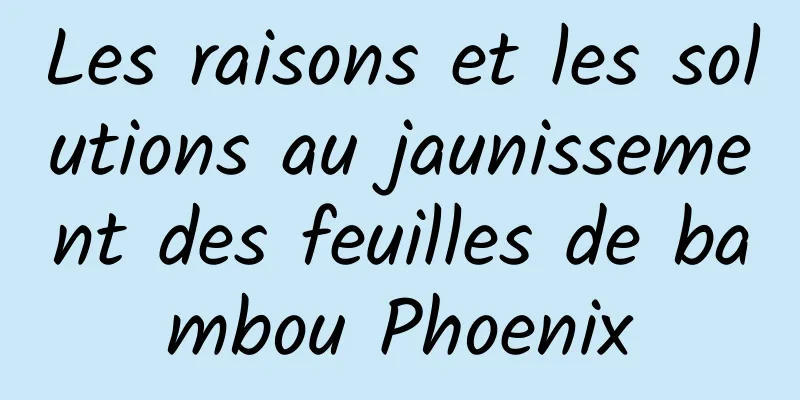 Les raisons et les solutions au jaunissement des feuilles de bambou Phoenix