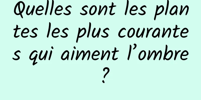 Quelles sont les plantes les plus courantes qui aiment l’ombre ?