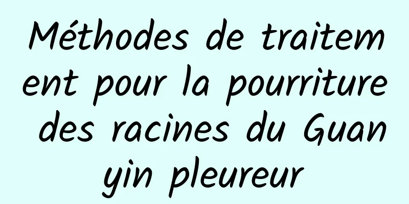 Méthodes de traitement pour la pourriture des racines du Guanyin pleureur