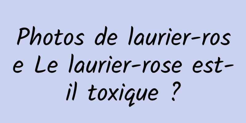 Photos de laurier-rose Le laurier-rose est-il toxique ?