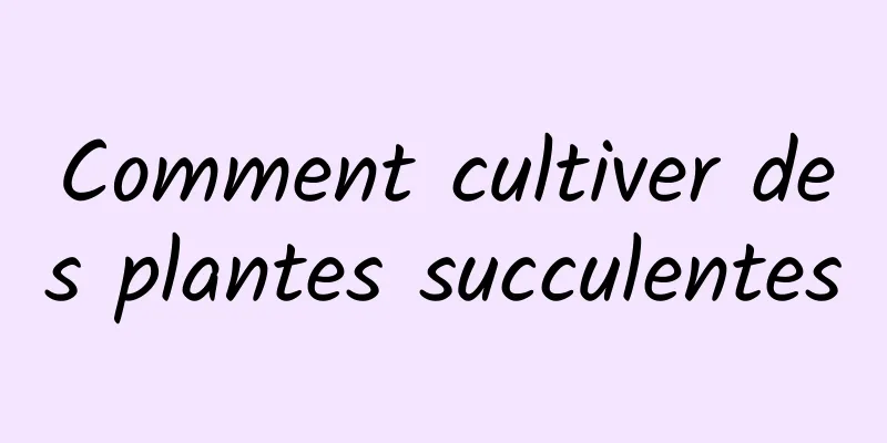 Comment cultiver des plantes succulentes