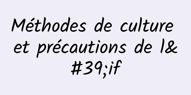 Méthodes de culture et précautions de l'if