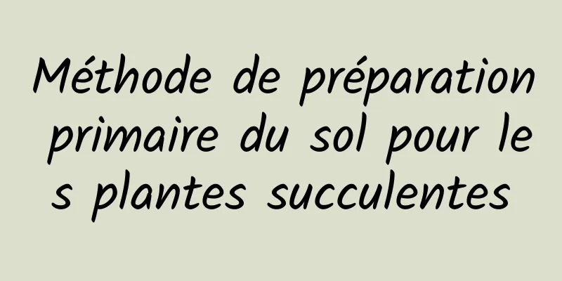 Méthode de préparation primaire du sol pour les plantes succulentes