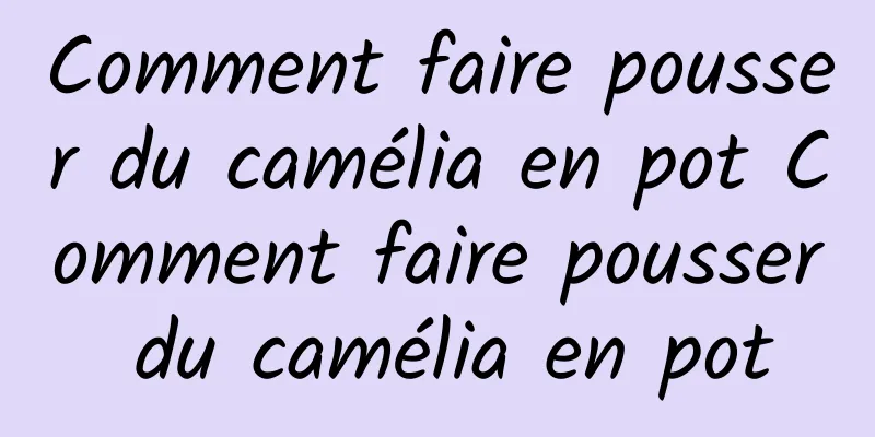 Comment faire pousser du camélia en pot Comment faire pousser du camélia en pot