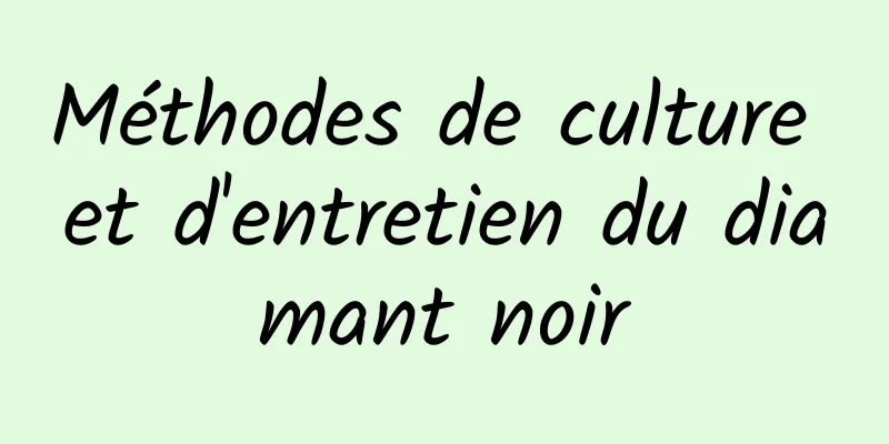 Méthodes de culture et d'entretien du diamant noir