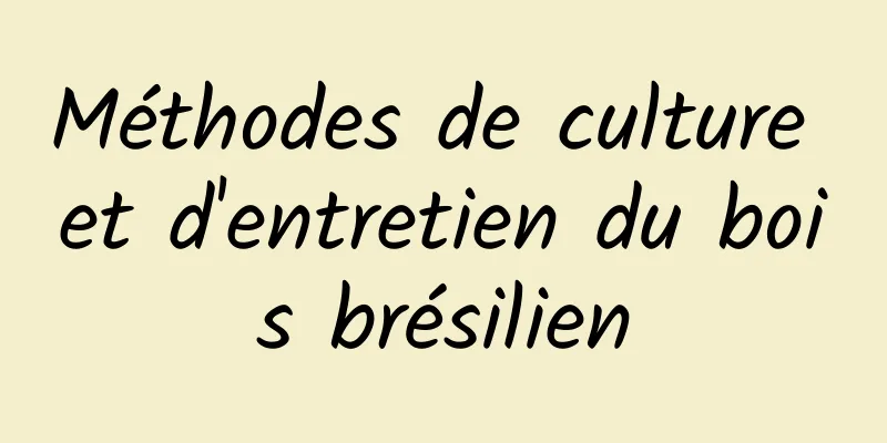 Méthodes de culture et d'entretien du bois brésilien