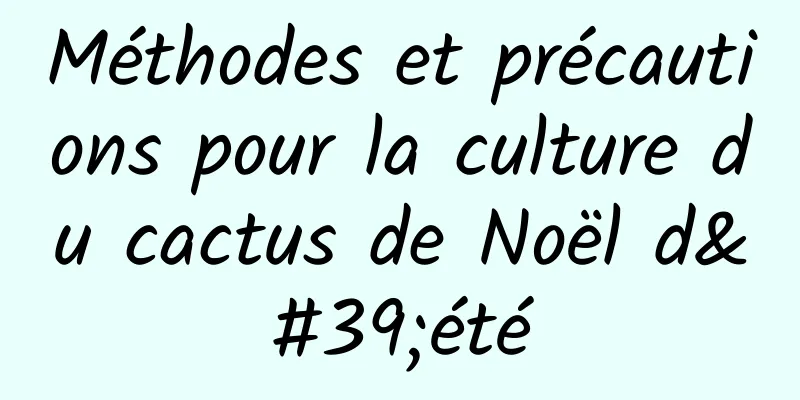 Méthodes et précautions pour la culture du cactus de Noël d'été