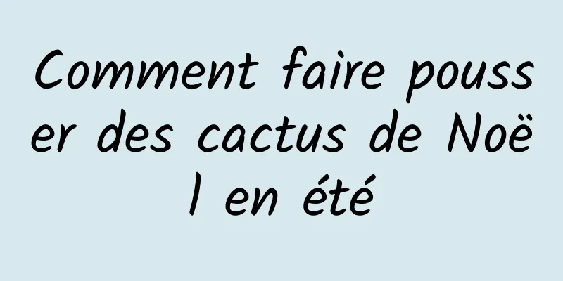 Comment faire pousser des cactus de Noël en été