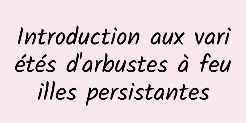 Introduction aux variétés d'arbustes à feuilles persistantes