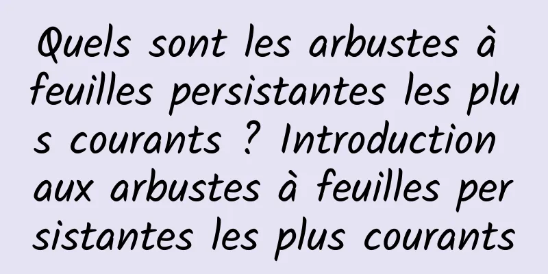 Quels sont les arbustes à feuilles persistantes les plus courants ? Introduction aux arbustes à feuilles persistantes les plus courants