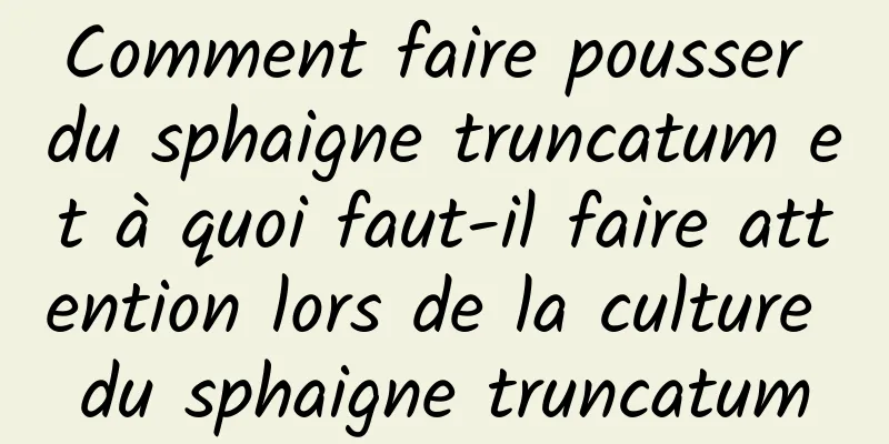 Comment faire pousser du sphaigne truncatum et à quoi faut-il faire attention lors de la culture du sphaigne truncatum