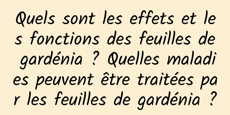 Quels sont les effets et les fonctions des feuilles de gardénia ? Quelles maladies peuvent être traitées par les feuilles de gardénia ?