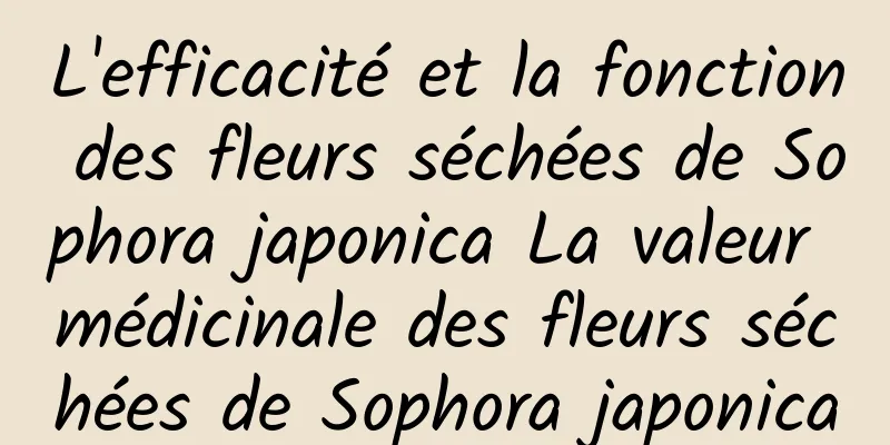 L'efficacité et la fonction des fleurs séchées de Sophora japonica La valeur médicinale des fleurs séchées de Sophora japonica