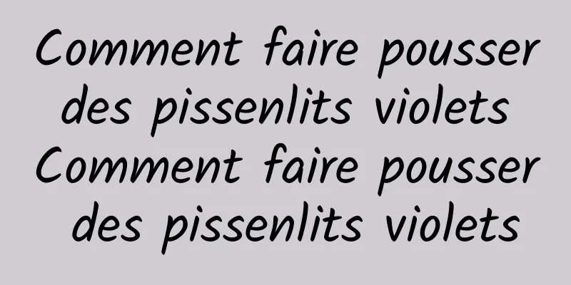 Comment faire pousser des pissenlits violets Comment faire pousser des pissenlits violets