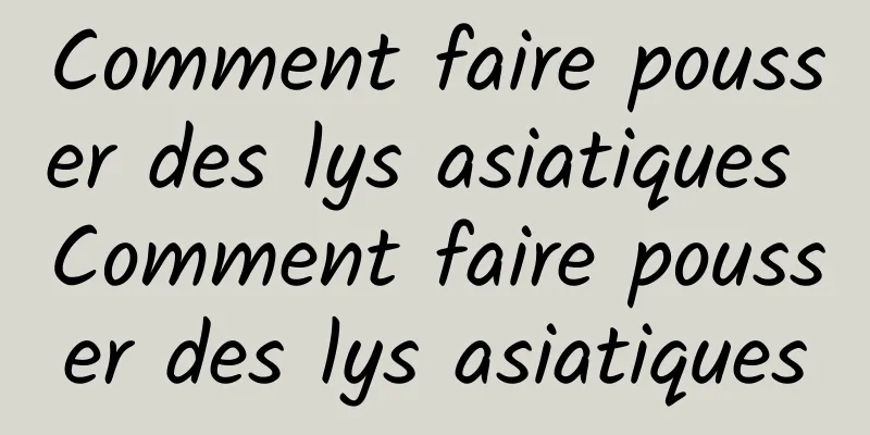 Comment faire pousser des lys asiatiques Comment faire pousser des lys asiatiques