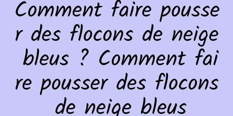 Comment faire pousser des flocons de neige bleus ? Comment faire pousser des flocons de neige bleus