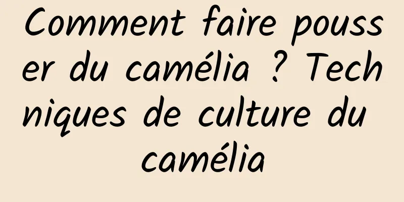 Comment faire pousser du camélia ? Techniques de culture du camélia