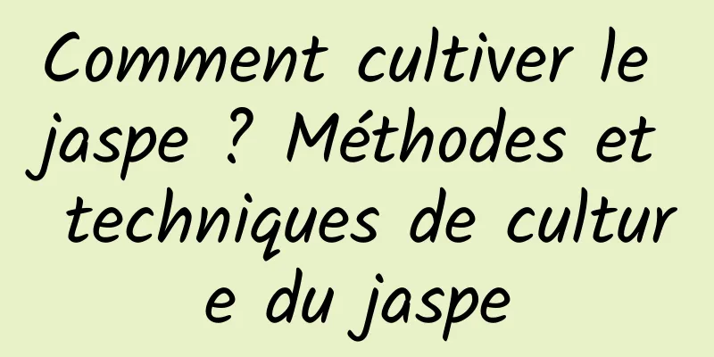 Comment cultiver le jaspe ? Méthodes et techniques de culture du jaspe