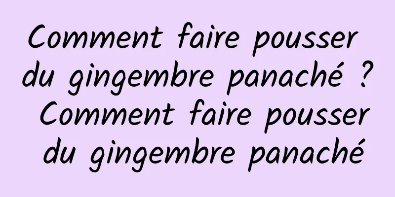 Comment faire pousser du gingembre panaché ? Comment faire pousser du gingembre panaché