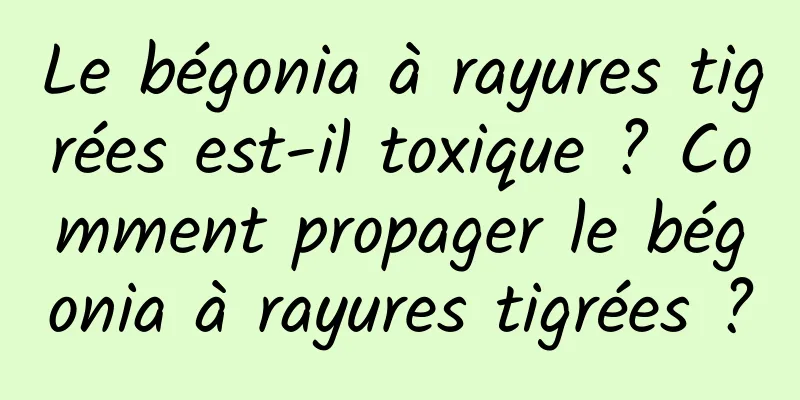 Le bégonia à rayures tigrées est-il toxique ? Comment propager le bégonia à rayures tigrées ?