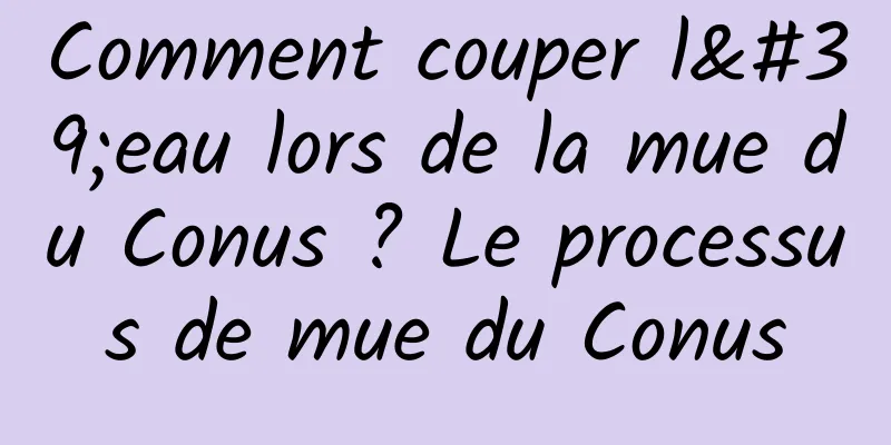 Comment couper l'eau lors de la mue du Conus ? Le processus de mue du Conus