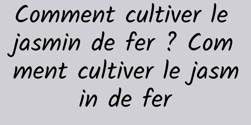 Comment cultiver le jasmin de fer ? Comment cultiver le jasmin de fer