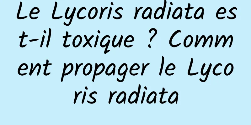 Le Lycoris radiata est-il toxique ? Comment propager le Lycoris radiata