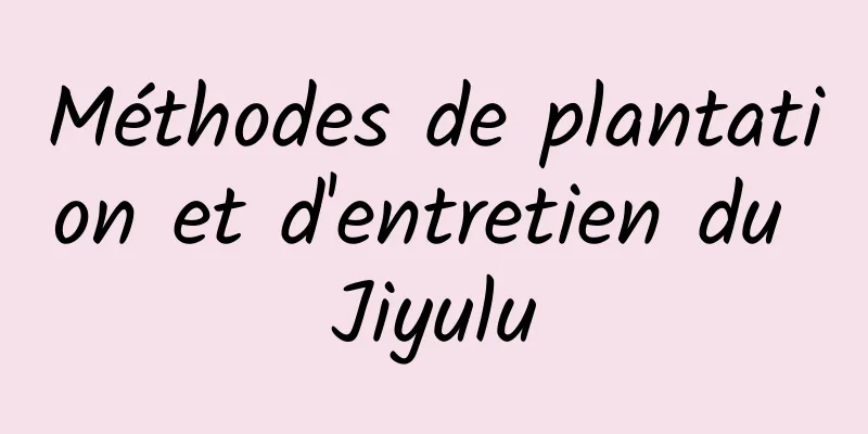 Méthodes de plantation et d'entretien du Jiyulu