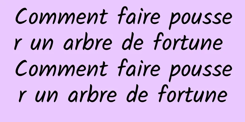 Comment faire pousser un arbre de fortune Comment faire pousser un arbre de fortune