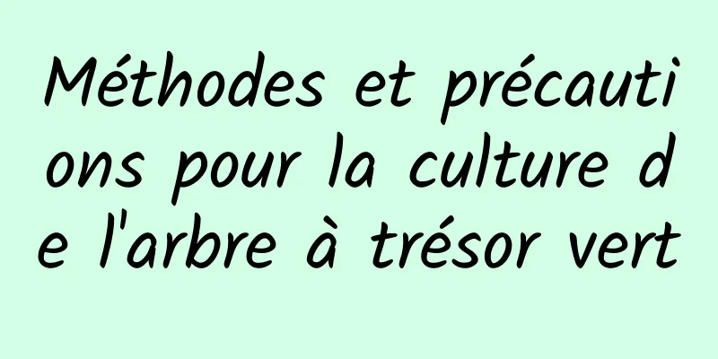 Méthodes et précautions pour la culture de l'arbre à trésor vert