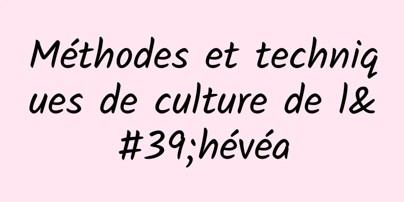 Méthodes et techniques de culture de l'hévéa