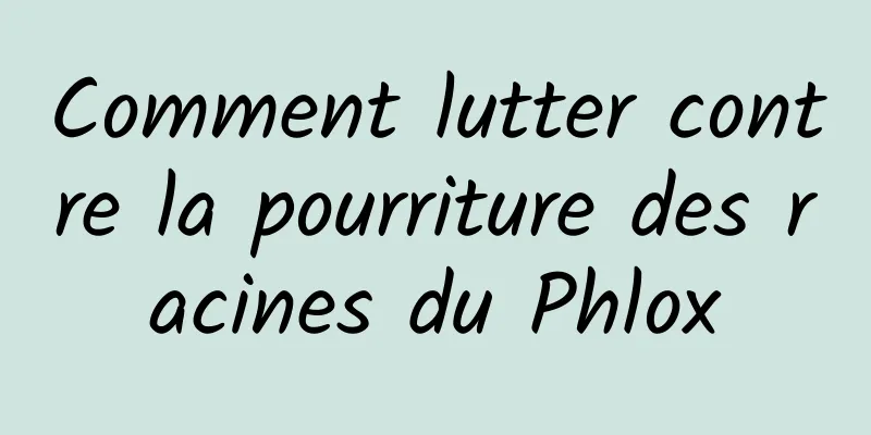 Comment lutter contre la pourriture des racines du Phlox