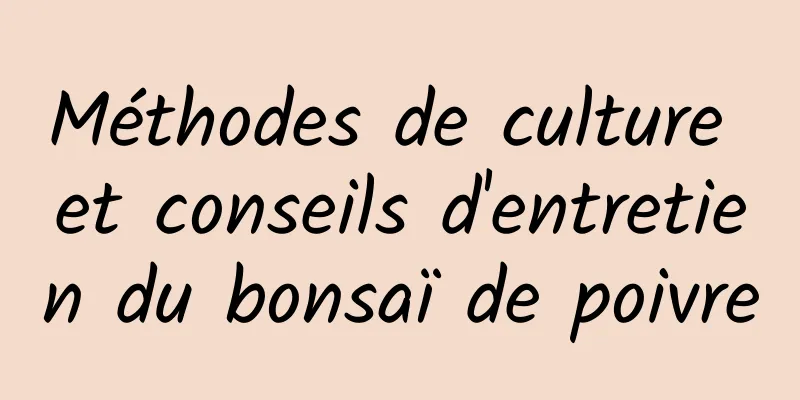 Méthodes de culture et conseils d'entretien du bonsaï de poivre