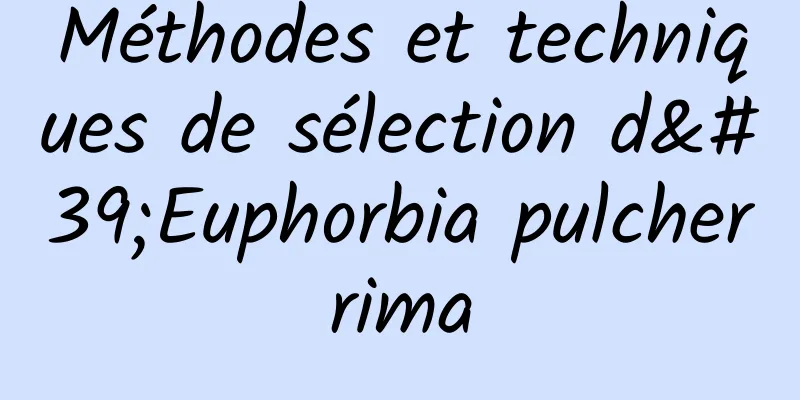 Méthodes et techniques de sélection d'Euphorbia pulcherrima