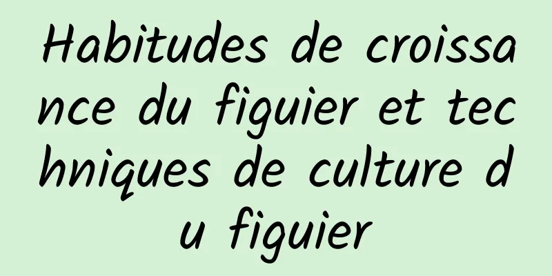 Habitudes de croissance du figuier et techniques de culture du figuier