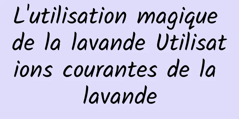 L'utilisation magique de la lavande Utilisations courantes de la lavande