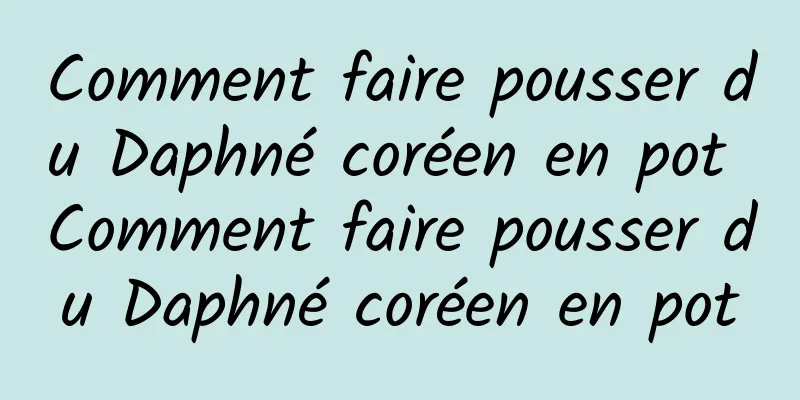 Comment faire pousser du Daphné coréen en pot Comment faire pousser du Daphné coréen en pot