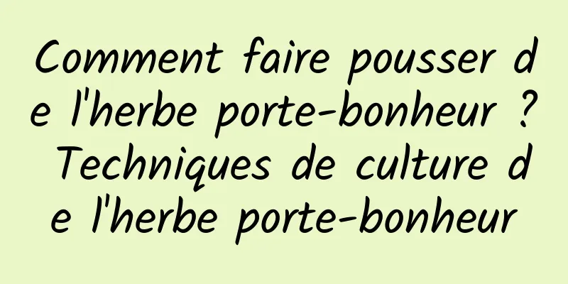 Comment faire pousser de l'herbe porte-bonheur ? Techniques de culture de l'herbe porte-bonheur