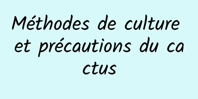 Méthodes de culture et précautions du cactus