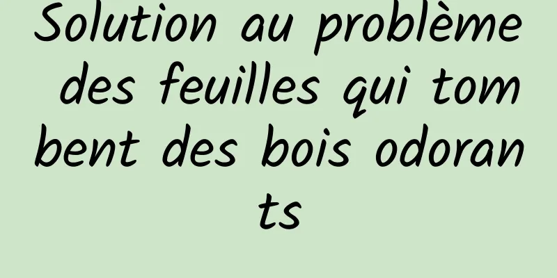 Solution au problème des feuilles qui tombent des bois odorants