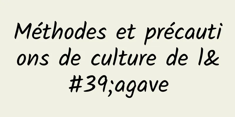 Méthodes et précautions de culture de l'agave