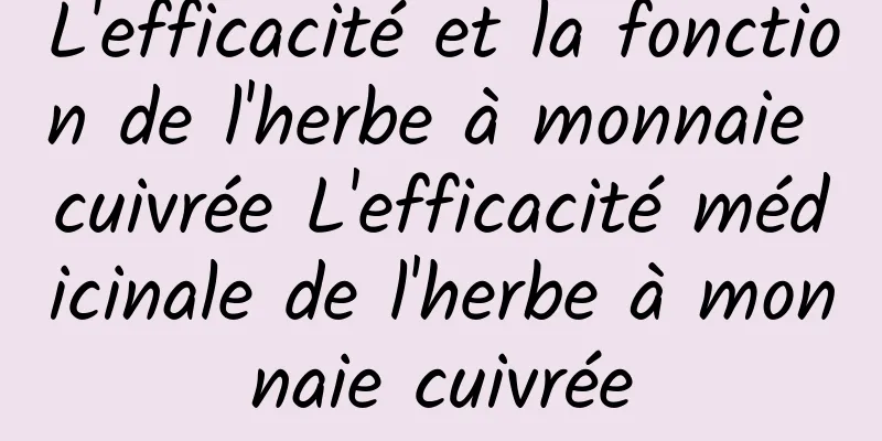 L'efficacité et la fonction de l'herbe à monnaie cuivrée L'efficacité médicinale de l'herbe à monnaie cuivrée