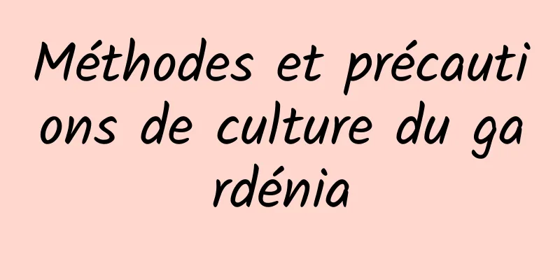 Méthodes et précautions de culture du gardénia