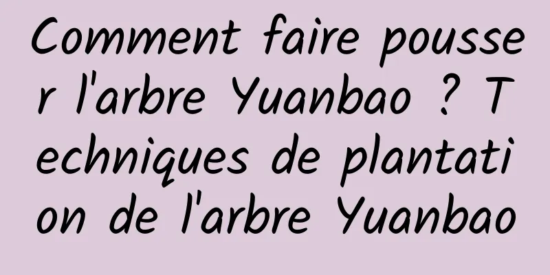 Comment faire pousser l'arbre Yuanbao ? Techniques de plantation de l'arbre Yuanbao