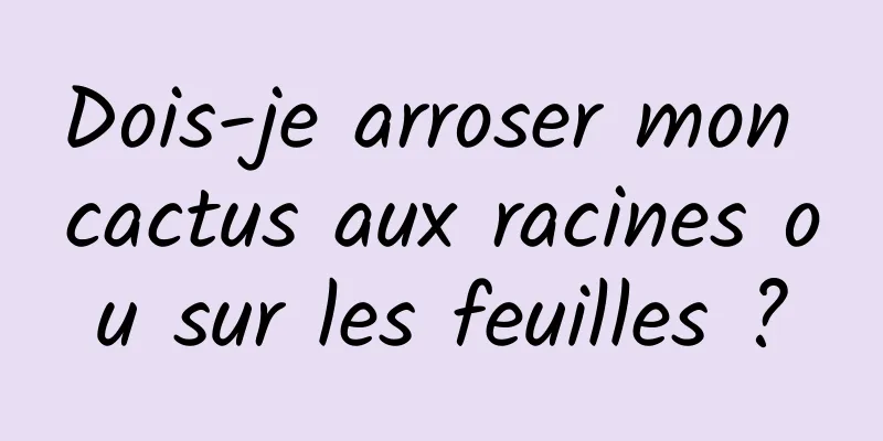 Dois-je arroser mon cactus aux racines ou sur les feuilles ?