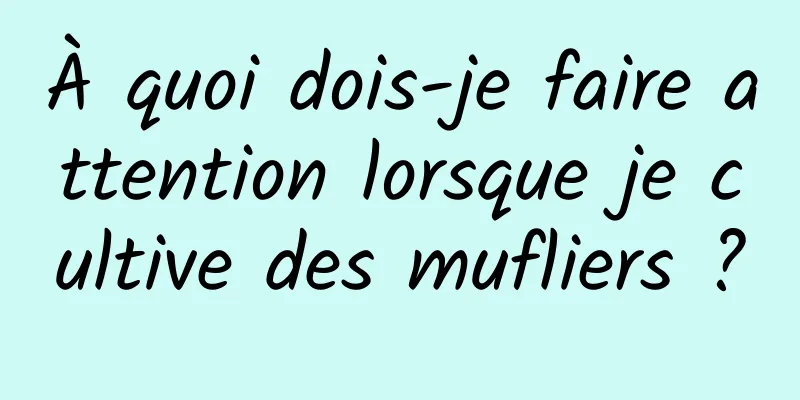 À quoi dois-je faire attention lorsque je cultive des mufliers ?