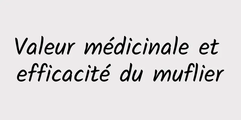 Valeur médicinale et efficacité du muflier