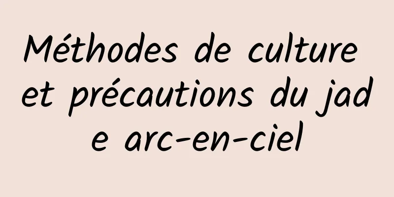 Méthodes de culture et précautions du jade arc-en-ciel