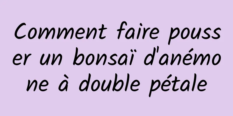 Comment faire pousser un bonsaï d'anémone à double pétale