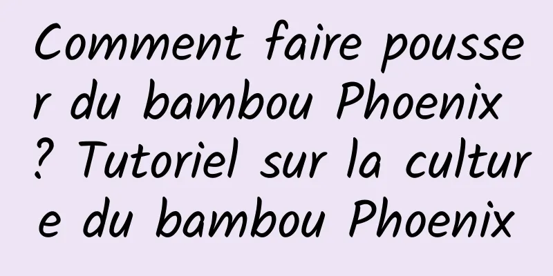 Comment faire pousser du bambou Phoenix ? Tutoriel sur la culture du bambou Phoenix